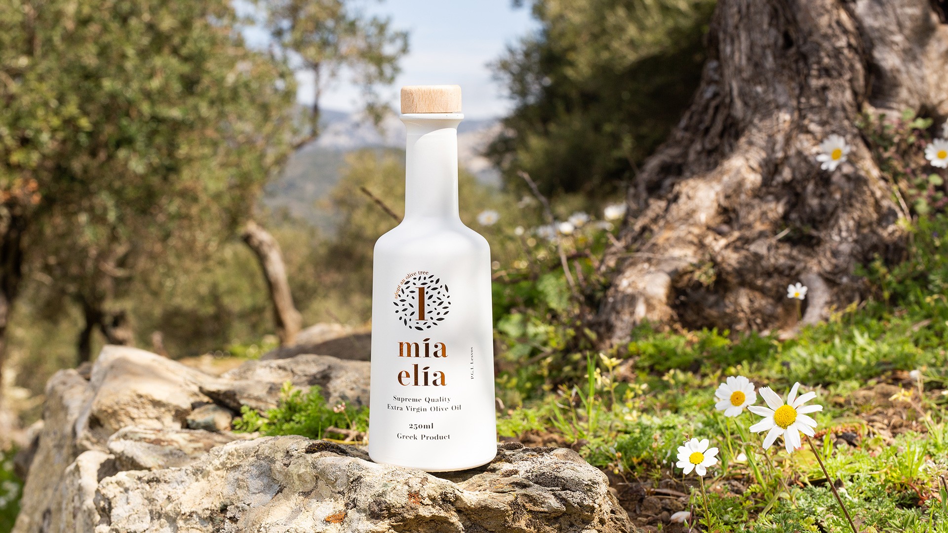 Mia Elia Olive Oil Bottle